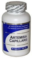 Artemisia Capillaris (100 Capsules)-Concentrated Herbal Extract - Dietary Supplement - 3 Pack