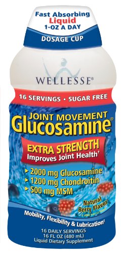 Wellesse Joint Movement Glucosamine with Chondroitin + MSM, Natural Berry Flavor, 16-Ounce (480 ml) (Pack of 2)