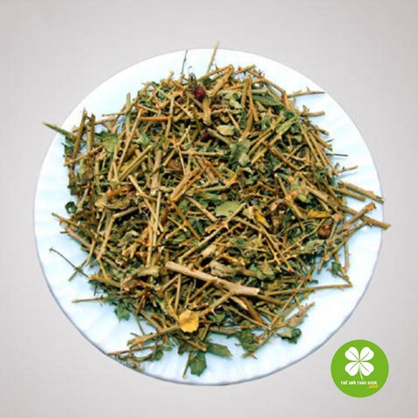 Cây cà gai leo (gói 1kg khô) - TD025